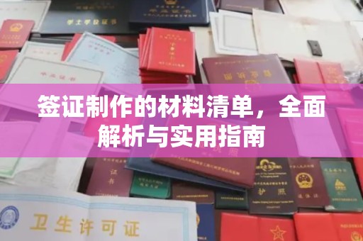 崇阳签证制作的材料清单，全面解析与实用指南