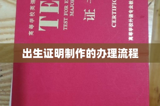 萨嘎出生证明制作的办理流程